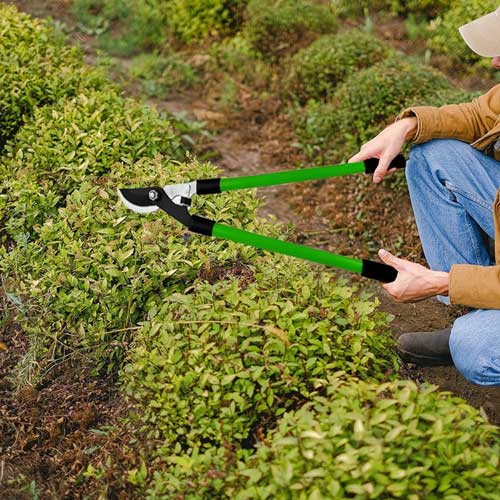 teleskopske vrtne škare